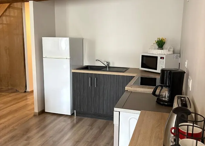 아파트 Les Glaneuses Le Grand 8 Centre-bourg 3 Min Du Puy Dufou *